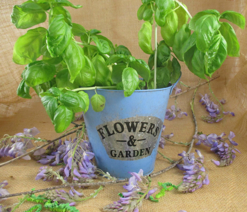 Flower Garden Tin Bucket Hand-Painted Blue Shabby Chic Rustic Wedding Metal Flower Pot Planter