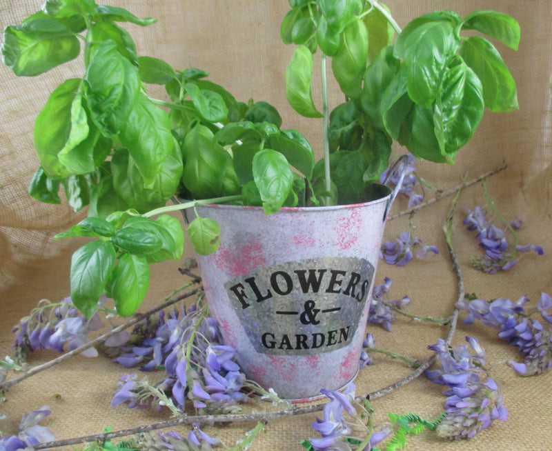 Flower Garden Tin Bucket Hand-Painted 2-tone Shabby Chic Rustic Wedding Metal Flower Pot Planter