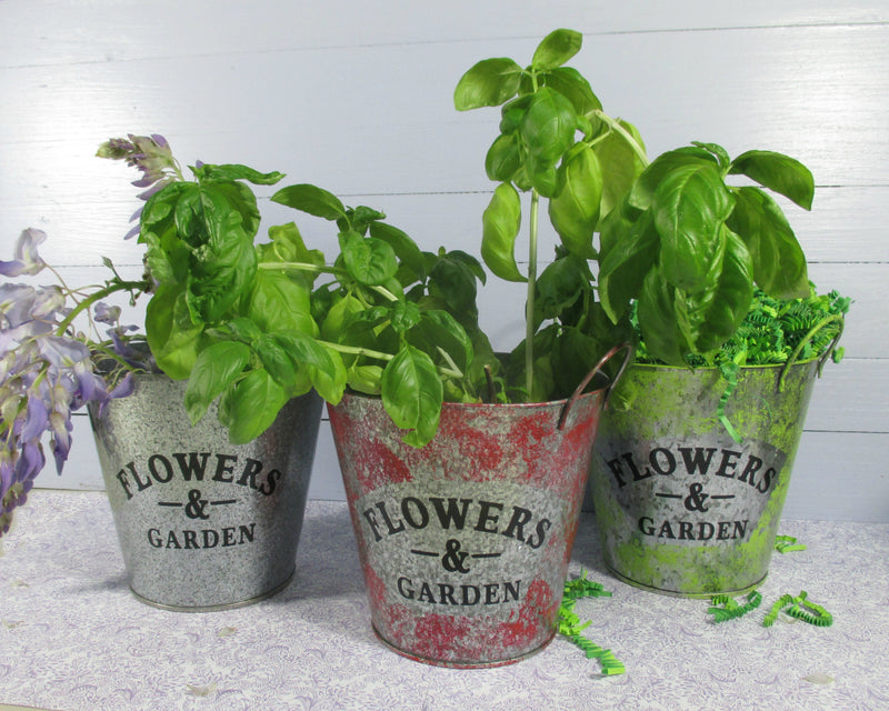 Flower Garden Tin Bucket Hand-Painted Red Shabby Chic Rustic Planter