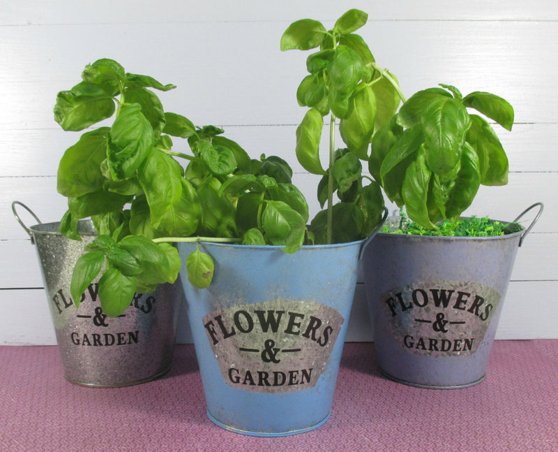 Flower Garden Tin Bucket Hand-Painted Blue Shabby Chic Rustic Wedding Metal Flower Pot Planter